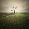 Matthew Duckett - @matthew.duckett34 - TikTok