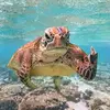Matthew Ducote977 - @matthewducote3 - TikTok