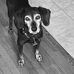 Matthew Dufault - Facebook