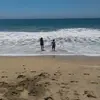 Matt Dufour - @matt.dufour7 - TikTok