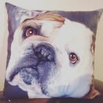 Matthew Dufour - @matoulol1 - Instagram