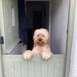 Matthew Dunkley - @matt.dunks74 - Instagram
