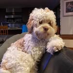 Matthew Durkin - @matthewdurkin5555 - Instagram