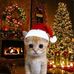 Rheyn Matthew Duron - Facebook