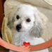 Matthew Dusina - Facebook