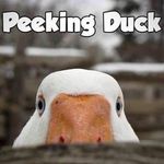 Matthew J Dutkiewicz - @dutkiewiczmatthew - Instagram