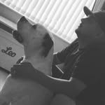 Matthew Dutton - @mcrdetailing22 - Instagram