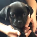 Matthew Eagles - @matthew_eagles321 - Instagram