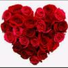 Matthew Eash - @mattheweash_3421 - TikTok