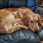 Matthew Eberle - @mmmmeebs - Instagram