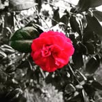 Matthew Edgar-Gibson - @mattedgargibson - Instagram