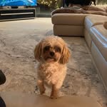 Helen Edington - @matthew_edington - Instagram