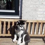 @matthew._.egberts - Instagram