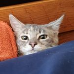 Matthew Egger - @matthewegger2 - Instagram