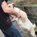 Mathew Eichenlaub - Facebook