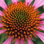 Matthew Elbert - @elbertmatthew - Instagram