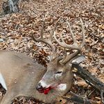 Matthew Eley - @anchorpointshootingco - Instagram