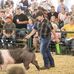 Matthew Edelman - Facebook