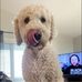 Matt Enman - Facebook