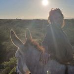 Matthew Erasmus - @erasmusmatthew - Instagram