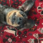 Matthew Erasmus - @littlerichkid1 - Instagram
