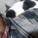 Matthew Etheridge - @etheridgematt1 - Instagram