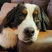 Matt Ettinger - Facebook