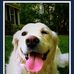 Matthew Faherty - Facebook