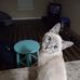 Matt Fairley - Facebook