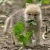 Matthew Farber - Facebook
