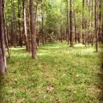 Matthew - @matthew__feathers14 - Instagram
