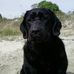 Matthew Fedor - Facebook