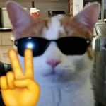 Matthew Felty - @matthew_felty - Instagram