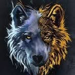 Matthew Fenimore - Facebook