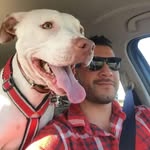 Matthew Fernando - @matthewfernando7 - Instagram