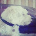 Matthew ferrie - @__matthewferrie__ - Instagram