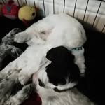 Matthew ferrier - @ferriermatthew - Instagram