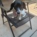 Mathew Fields - Facebook