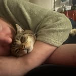 Matthew Fishman - @lpfan9976 - Instagram