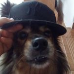 Matthew Fishmann - @matthewfishmann - Instagram
