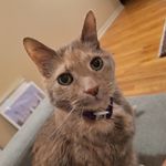 Seth Matthew Fishman - @sethmatthewfishman - Instagram