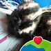 Matthew Freeman - Facebook