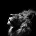 Matthew Foisy - Facebook