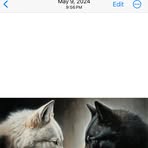 Matthew Fontanez - Facebook