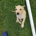 Matthew Forde - Facebook