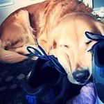 Matthew Fortin - @fortin.matthew - Instagram