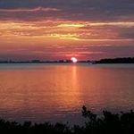 Matthew Foti - @fotimatthew - Instagram