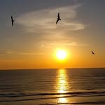 Matthew Foti - @mfotit2c - Instagram