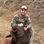 Matthew Evans-Freeborn - @matthewevansfreeborn - Instagram