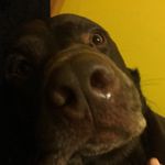 Matthew-freeborne - @matthewfreeborne5373 - Instagram
